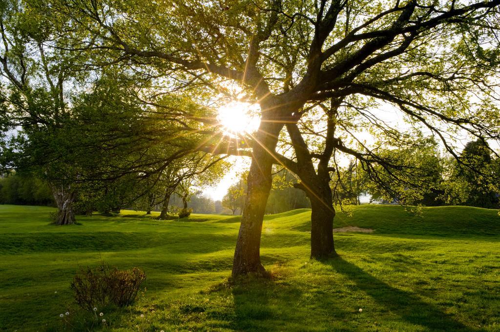 The Lodge At Kingswood إبسوم المظهر الخارجي الصورة
